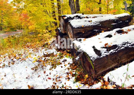 Verlassene Holzstapel warten immer noch auf den Truck, um sie zum Sägewerk auf der oberen Halbinsel, Michigan, zu transportieren. Die Straße des Holzeinschlags zieht sich in die Ferne. Stockfoto