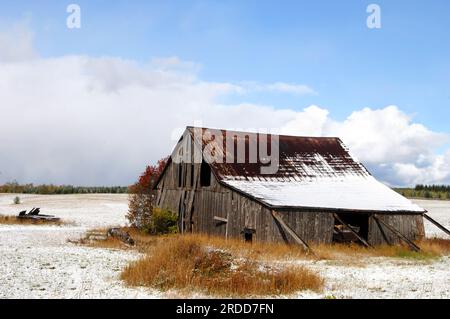 Die Landwirtschaft vergangener Tage wird durch diese hölzerne Scheune veranschaulicht, die mit Brettern ausgestattet ist, um ihren Zusammenbruch zu verhindern. Schnee bedeckt das Feld und einen Teil des Dachs. Autum Stockfoto