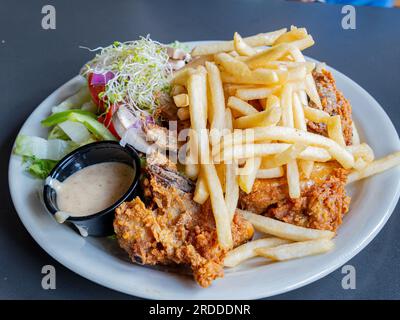 Nahaufnahme von frittierten Pommes frites und gebratenem Huhn in Colorado Stockfoto