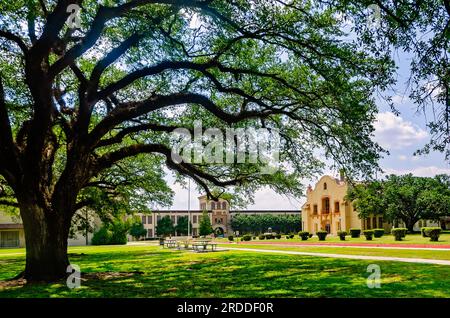 Die Murphy High School ist am 29. Juni 2023 in Mobile, Alabama, abgebildet. Die öffentliche Highschool wurde 1926 im Stil der Wiedergeburt der spanischen Kolonialzeit gebaut. Stockfoto