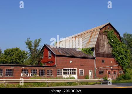 In den Nebenstraßen des Zentrums von New York befindet sich diese holzrote, hölzerne Scheune mit überwuchertem Efeu und einem Steg am Straßenrand. Stockfoto