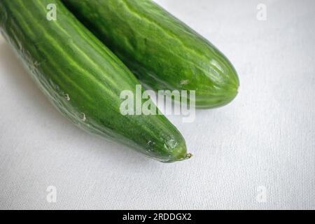 Frische, rohe persische Gurken, aus biologischem Anbau. Auf weißem Hintergrund für einen klaren und natürlichen Look. Stockfoto