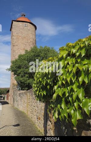 Historisches Mönchsturm in Hammelburg, Niederfrankreich, Franken, Bayern, Deutschland Stockfoto