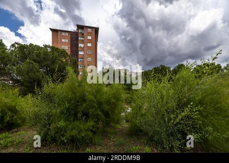 Die Fassade eines Wohngebäudes aus einem Garten mit Pflanzen und wolkenbeladenem Himmel Stockfoto