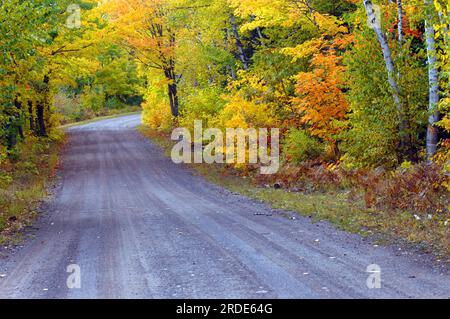 Auf der Keweenaw-Halbinsel in einer ruhigen Landstraße verschwindet die Hinterstraße von Michigan in goldenem Laub. Stockfoto