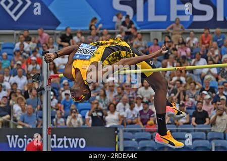 Mutaz Essa Barshim (QAT) gewinnt den Hochsprung mit 7-8 3/4 (2,36 m) während des Skolimowska Memorial am Sonntag, 16. Juli 2023, in Chorzow, Polen. (Jiro Mochizuki/Bild des Sports) Stockfoto