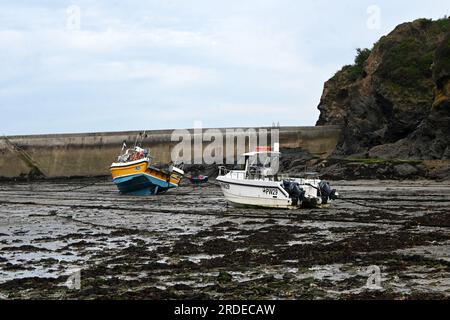 Boote bei Ebbe, polperro, cornwall Stockfoto