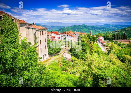 Motovun, Kroatien. Malerische historische Stadt Motovun auf idyllischen grünen Hügel, Reiseziel im Landesinneren Istrien Region von Kroatien. Stockfoto