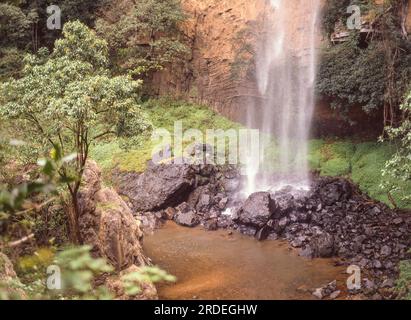 Die 70 Meter hohen Bridal Veil Falls liegen sechs Kilometer außerhalb von Sabie, Mpumalanga in Südafrika. Stockfoto