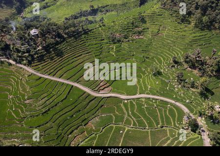 Bogor. 20. Juli 2023. Dieses Luftfoto wurde am 20. Juli 2023 aufgenommen und zeigt Reisterrassen im Dorf Cisalada, Bogor Regency der Provinz West Java in Indonesien. Kredit: Veri Sanovri/Xinhua/Alamy Live News Stockfoto