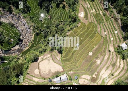 Bogor. 20. Juli 2023. Dieses Luftfoto wurde am 20. Juli 2023 aufgenommen und zeigt Reisterrassen im Dorf Cisalada, Bogor Regency der Provinz West Java in Indonesien. Kredit: Veri Sanovri/Xinhua/Alamy Live News Stockfoto