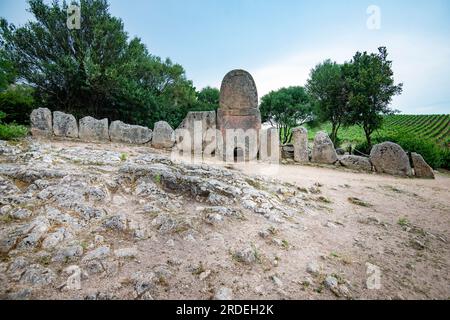 Grab der Riesen des Coddu Vecchiu - Sardinien - Italien Stockfoto