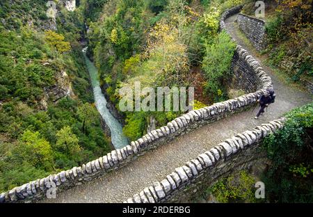 Puente romanico sobre el rio Bellós.Valle de Añisclo.Huesca.Cordillera pirenaica.España. Stockfoto