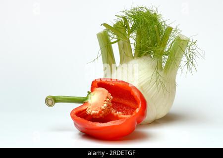 Frisches Gemüse, Fenchel, halbierte rote Paprika Stockfoto