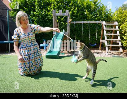 Dave, der Kater, in seinem neuen Zuhause mit Anna Bush, Media Operations Manager der Fußballvereinigung. Das unwahrscheinliche englische Maskottchen der Weltmeisterschaft wird nun die Löwen aus seiner Heimat beobachten, während Dave the Cat sich in seiner neuen Umgebung niederlässt. Obwohl der Fußball vielleicht nicht aus Katar nach Hause gekommen ist, tat es streunender Kater Dave, nachdem die freundliche Katze zu einem festen Favoriten der Mannschaft wurde, als er frei durch Englands Al Wakrah Trainingsbasis lief. Obwohl sie das Viertelfinale durch Frankreich verließen, hatte Dave noch immer die Möglichkeit, nach Großbritannien zu reisen, und wurde schließlich von Football A aufgegriffen Stockfoto