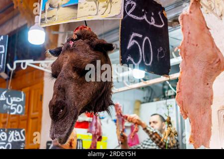 Ein Kamelkopf wird auf dem offenen Markt in der blauen Stadt Medina von Fès, Marokko, verkauft Stockfoto