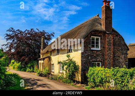 Eine große traditionelle strohgedeckte Hütte auf dem Holnicote Estate im Dorf Bossington, Somerset, England, Großbritannien Stockfoto