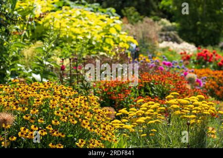 Atemberaubende, farbenfrohe Blütenränder im RHS Wisley Garden, Surrey UK. In den ausgedehnten Blumenbeeten wachsen hauptsächlich mehrjährige Pflanzen. Stockfoto