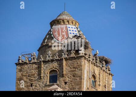 Trujillo, Cáceres, Spanien. Weiße Störche Ciconia ciconia nistet auf dem Torre de Alfile, einem Turm aus dem 15. Jahrhundert in der Casa de la Caden Stockfoto