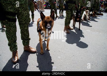 K9 Sprengkörper nehmen an der Militärparade für die 213 Jahre kolumbianischer Unabhängigkeit in Bogota am 20. Juli 2023 Teil. Stockfoto