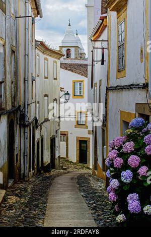 Castelo de Vide, Stadtteil Portalegre, Portugal. Blick auf die Rua do Penedo, eine enge Straße in der Altstadt. Stockfoto