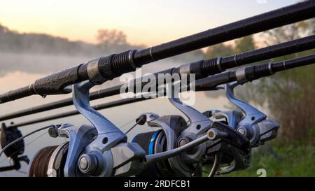 Angeln mit Karpfenfangstechnik. Stäbe mit Bissanzeigern und Rollen, die auf einem Stabkapsel vor dem Hintergrund eines Sees oder Flusses aufgestellt werden Stockfoto