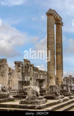 Säulen des Apollo-Tempels, Ausgrabungsstätte von Didyma, heute Didim, Ionia, Provinz Aydin, Türkei Stockfoto