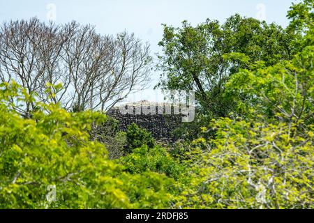 Weiter Blick auf den Gipfel des Hohen Tempels, von der Spitze des Jaguar Tempels im Lamanai Archäologischen Reservat, Belize. Stockfoto