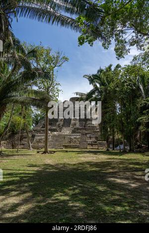 Der hohe Tempel, El Castillo oder Bauwerk N10-43 in den Ruinen einer Maya-Stadt im archäologischen Reservat Lamanai, Belize. Stockfoto