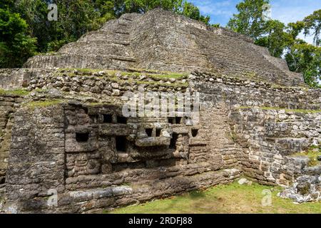 Skulptur auf dem Jaguar Tempel oder Bauwerk N10-9 in den Ruinen einer Maya-Stadt im archäologischen Reservat Lamanai, Belize. Stockfoto