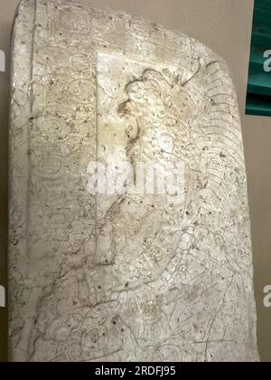 Stela 9, eine aus Stein geschnitzte Stela aus dem Gebäude N10-27 in den Maya-Ruinen des Lamanai Archäologischen Reservats, Belize. Stockfoto