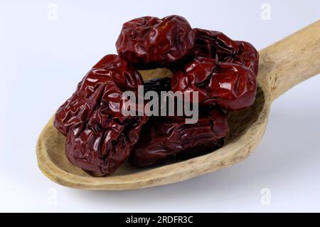 Jujube, Sternum-Baum, Sternum-Beere, Jujube (Ziziphus jujuba) Stockfoto