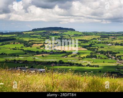 Auf Beacon Fell aus Longridge Fell in Lancashire, Großbritannien, herabblickend. Stockfoto