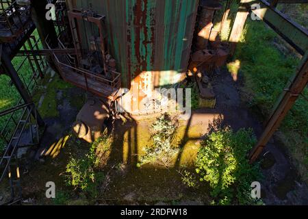 Industrielle Natur im stillgelegten Industriewerk Phoenix West im Bezirk Hoerde, Dortmund, Ruhrgebiet, Nordrhein-Westfalen Stockfoto