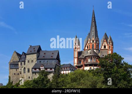 Limburger Dom St. George, Innenansicht mit Blick nach oben zum Tresor, Limburg an der Lahn, Hessen, Deutschland Stockfoto