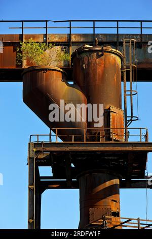 Birkenanbau im stillgelegten Industriewerk Phoenix West im Bezirk Hörde, Industrielle Natur, Dortmund, Ruhrgebiet, Nordrhein-Westphal Stockfoto