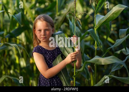 Süßes Mädchen mit einem Stiel Mais. Ökologische Erzeugnisse. Stockfoto