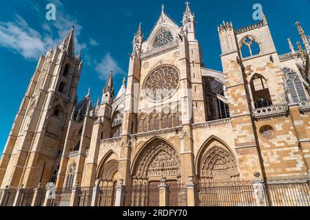 Spektakuläre Kathedrale von Leon. Die Kathedrale Santa María de Regla de León ist eine katholische Kirche im alten Zentrum von Leon. Stockfoto