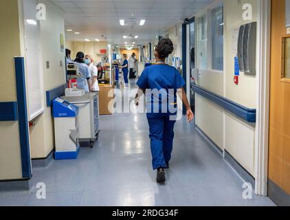 EMBARGED BIS 0001 SAMSTAG JULI 22 Datei Foto vom 18/01/23 eine allgemeine Ansicht des Personals auf einer NHS Krankenhausstation. Die Personalfluktuation in den NHS-Krebsdiensten ist deutlich gestiegen: Im vergangenen Jahr sind mehr als 4.000 Mitarbeiter aus dem Unternehmen ausscheiden, wie neue Zahlen zeigen. Daten von NHS England zeigen, dass die Abbrecherquote bei Krebspersonal in Krankenhäusern und kommunalen Gesundheitsdiensten im Jahr bis September 2022 12,1% erreichte, als 4.378 Mitarbeiter gingen. Ausgabedatum: Samstag, 22. Juli 2023. Stockfoto