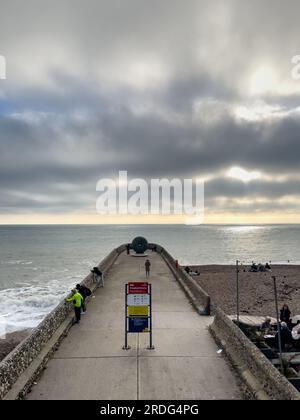 Brighton, Großbritannien - November 12. 2022: The Doughnut Groyne on Brighton Beach mit dem Kunstwerk von Hamish Black. Stockfoto