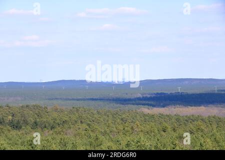 Blick aus der Vogelperspektive auf den Schwielow-See, potsdam, berlin vom Wietkiekenberg, Brandenburg in Deutschland Stockfoto