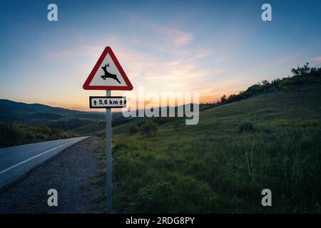 Warnschild für Wildtiere auf einer Straße bei Sonnenuntergang - Zahara de la Sierra, Andalusien, Spanien Stockfoto