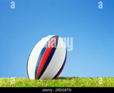 rugby-Ball auf grass01 03 03.tif Stockfoto