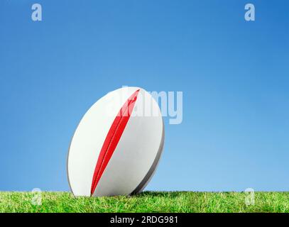 rugby-Ball auf grass01 03 03.tif Stockfoto