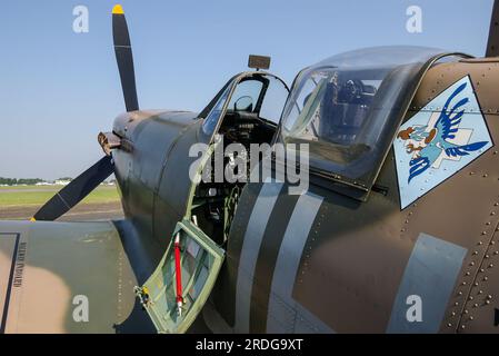 Cockpit von Spitfire V, Kampfflugzeug BM597 der historischen Flugzeugsammlung. Emblem der polnischen Kampfgeschwader Nr. 317 „Stadt Wilno“ Stockfoto