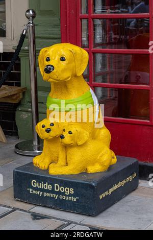 Ein klassischer „Guide Dogs for the Blind“-Sammelkarton mit einem labrador und ihren beiden Welpen, die die Botschaft „Every Penny counts“ (jeder Penny zählt) in England, Großbritannien, erhalten Stockfoto