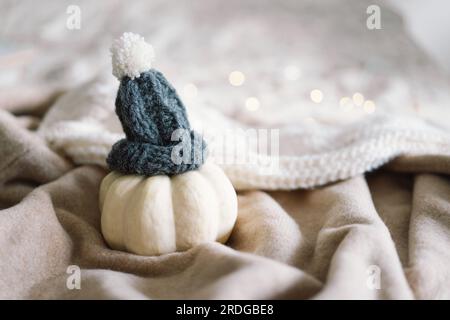 Weißer dekorativer Kürbis in einem dekorativen Strickmütze. Stockfoto