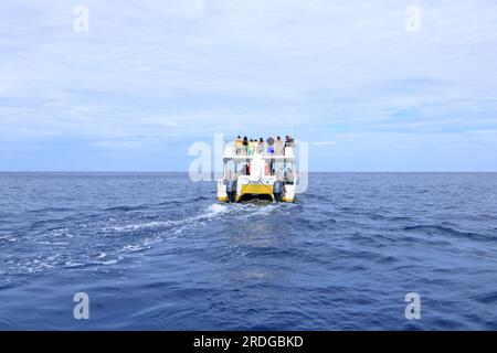 März 14 2023 - Samara, Guanacaste in Costa Rica: Bootsausflug zur Beobachtung von Delfinen im Pazifik Stockfoto