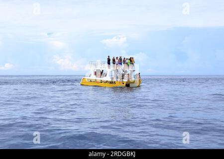 März 14 2023 - Samara, Guanacaste in Costa Rica: Bootsausflug zur Beobachtung von Delfinen im Pazifik Stockfoto