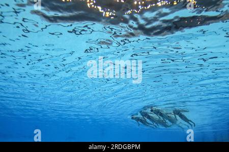 Fukuoka, Japan. 21. Juli 2023. Team Ukraine tritt während des teamfreien Finales des künstlerischen Schwimmens bei den World Aquatics Championships in Fukuoka, Japan, am 21. Juli 2023 auf. Kredit: Xia Yifang/Xinhua/Alamy Live News Stockfoto